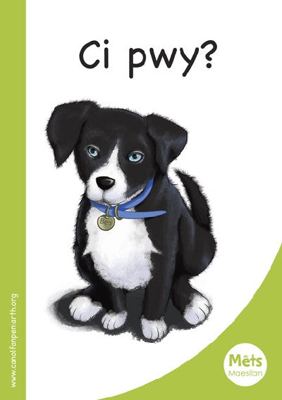 Clawr llyfr / Book cover: Mêts Maesllan: Ci Pwy?