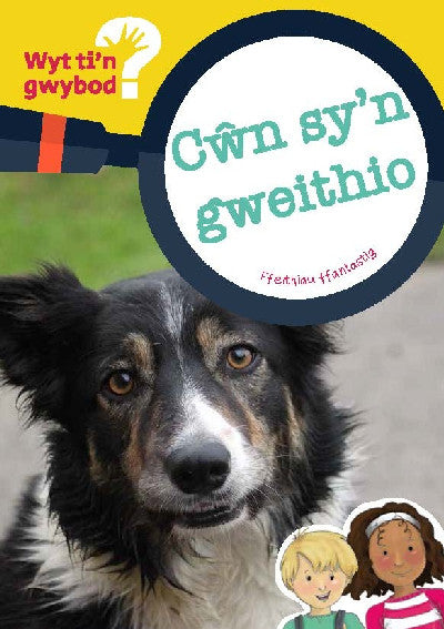 Clawr llyfr / Book cover: Cyfres Wyt Ti'n Gwybod?: Cŵn Sy'n Gweithio