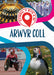 Cymru, Y Byd a Ni: Arwyr Coll