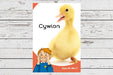 Dyna Chi Dric: Cywion 