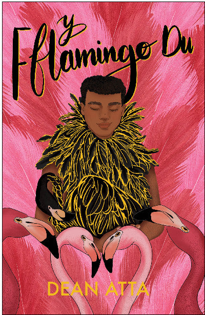 Clawr llyfr / Book cover: Y Fflamingo Du