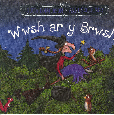 Clawr llyfr / Book cover: Wwsh ar y Brwsh