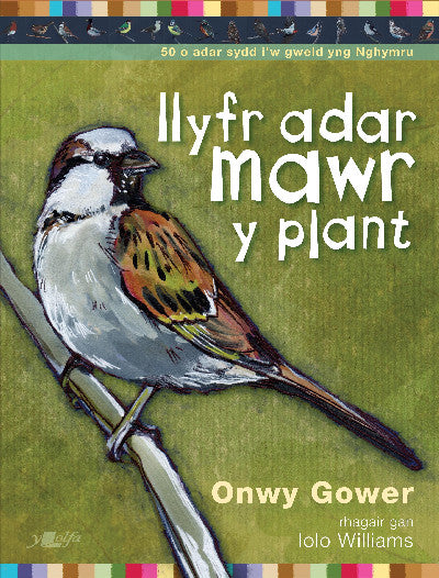 Clawr llyfr / Book cover: Llyfr Adar Mawr y Plant