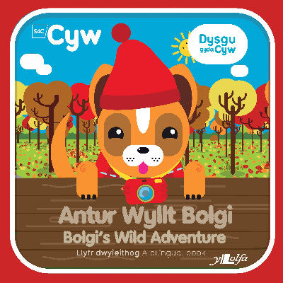 Clawr llyfr / Book cover: Cyfres Cyw: Antur Wyllt Bolgi / Bolgi's Wild Adventure