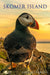 Skomer Island