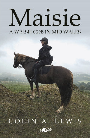 Maisie - A Welsh Cob in Mid Wales