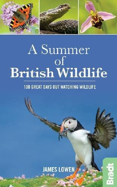 Clawr llyfr / Book cover: Summer of British Wildlife, A - 100 Great Days out Watching Wildlife