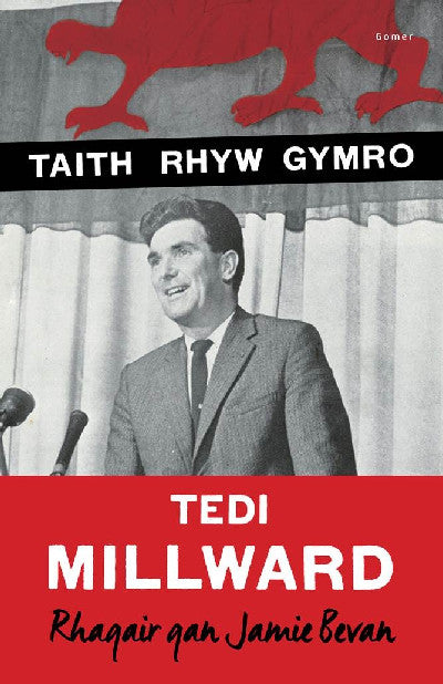 Clawr llyfr / Book cover: Taith Rhyw Gymro