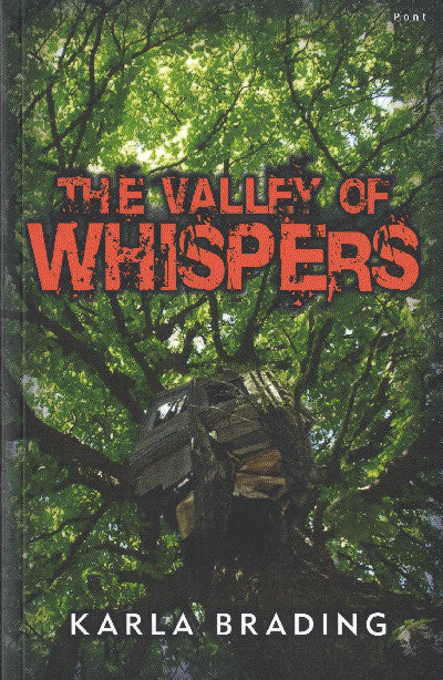 Clawr llyfr / Book cover: The Valley of Whispers