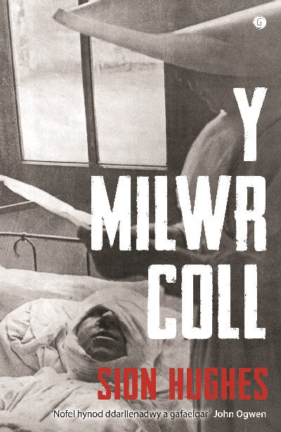 Clawr llyfr / Book cover: Milwr Coll, Y