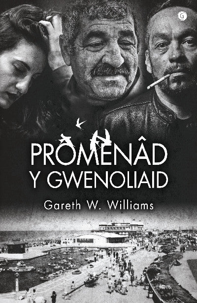 Clawr llyfr / Book cover: Promenâd y Gwenoliaid