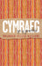 Cymraeg yn y Gweithle