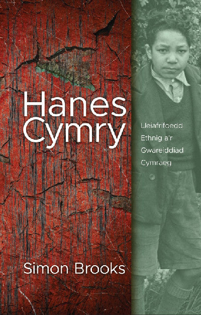 Clawr llyfr / Book cover: Hanes Cymry - Lleiafrifoedd Ethnig a'r Gwareiddiad Cymraeg — Lleiafrifoedd Ethnig A'r Gwareiddiad Cymraeg