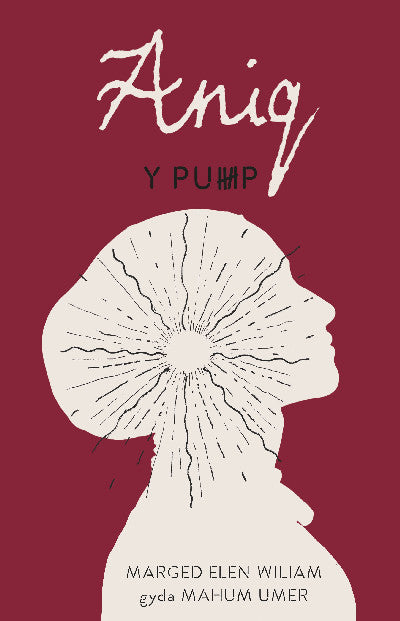 Clawr llyfr / Book cover: Y Pump - Aniq