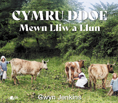 Clawr llyfr / Book cover: Cymru Ddoe Mewn Lliw a Llun