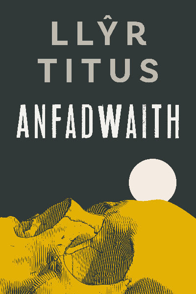 Clawr llyfr / Book cover: Anfadwaith