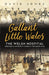 Gallant Little Wales