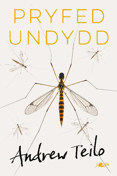Clawr llyfr / Book cover: Pryfed Undydd