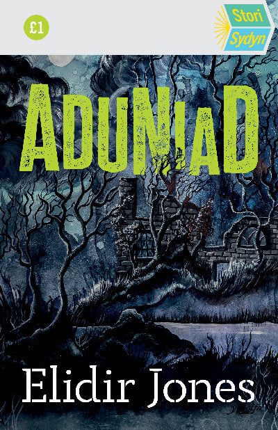 Clawr llyfr / Book cover: Stori Sydyn: Aduniad
