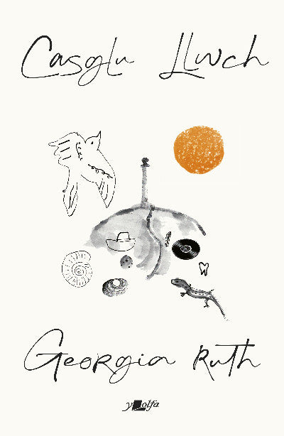 Clawr llyfr / Book cover: Casglu Llwch