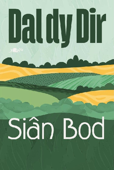 Clawr llyfr / Book cover: Dal dy Dir