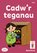 Llyfrau Hwyl Magi Ann: Cadw'r Teganau