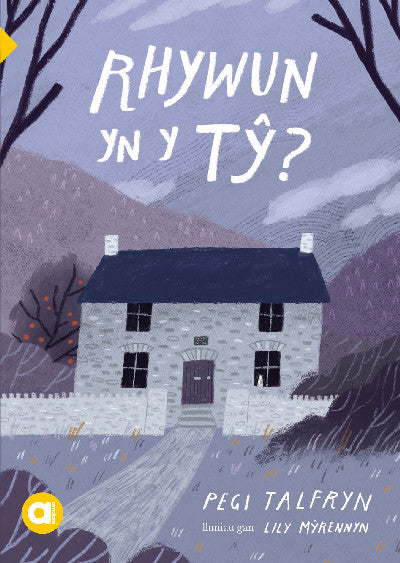 Clawr llyfr / Book cover: Cyfres Amdani: Rhywun yn y Tŷ?