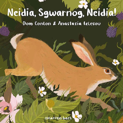 Clawr llyfr / Book cover: Neidia, Sgwarnog, Neidia!