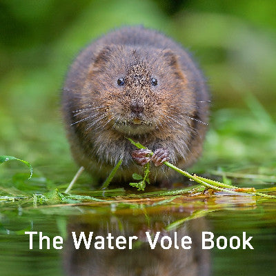 Clawr llyfr / Book cover: Nature Book Series: The Water Vole Book