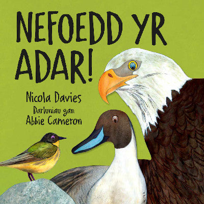 Clawr llyfr / Book cover: Nefoedd yr Adar!