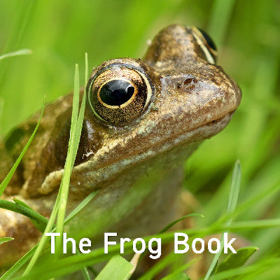 Clawr llyfr / Book cover: Nature Book Series: The Frog Book