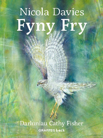 Clawr llyfr / Book cover: Fyny Fry