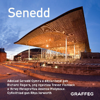 Clawr llyfr / Book cover: Senedd (Cymraeg)