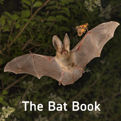 Clawr llyfr / Book cover: Nature Book Series: The Bat Book