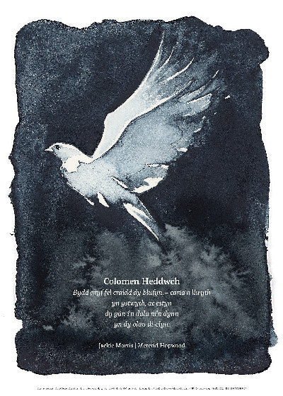 Poster: Poster Colomen Heddwch