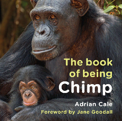 Clawr llyfr / Book cover: The Book of Being Chimp
