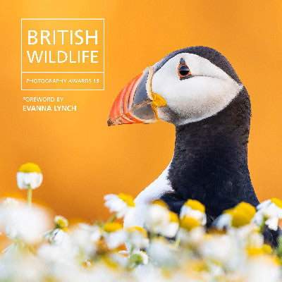 Clawr llyfr / Book cover: British Wildlife Photography Awards 13