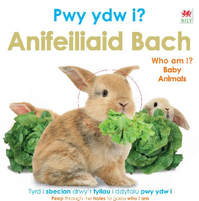 Clawr llyfr / Book cover: Pwy Ydw i? Anifeiliaid Bach / Who Am I? Baby Animals