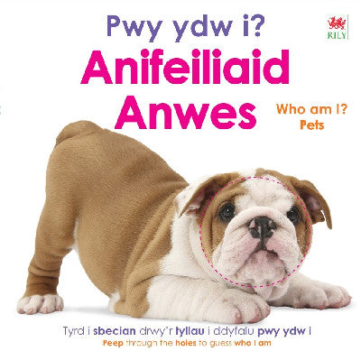 Clawr llyfr / Book cover: Pwy ydw i? Anifeiliaid Anwes / Who Am I? Pets