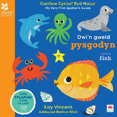 Clawr llyfr / Book cover: Dwi'n Gweld Pysgodyn / I Spot a Fish