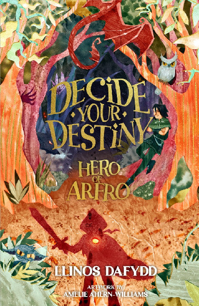 Clawr llyfr / Book cover: Decide your Destiny - Hero of Arfro