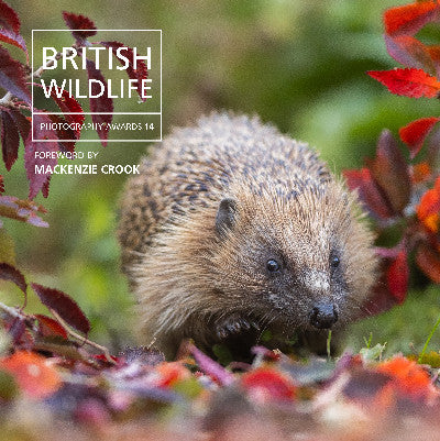 Clawr llyfr / Book cover: British Wildlife Photography Awards 14