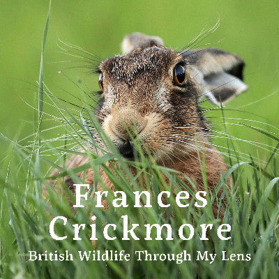 Clawr llyfr / Book cover: Frances Crickmore - British Wildlife Through My Lens