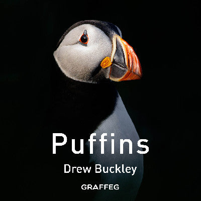 Clawr llyfr / Book cover: Puffins
