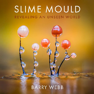 Clawr llyfr / Book cover: Slime Mould