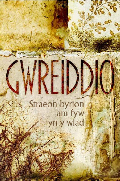 Clawr llyfr / Book cover: Gwreiddio