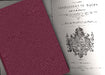Heraldic Visitations of Wales
