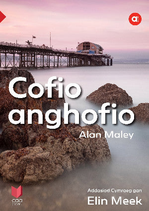 Cyfres Amdani: Cofio Anghofio
