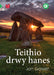 Cyfres Amdani: Teithio drwy Hanes