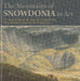 Mountains of Snowdonia in Art, The